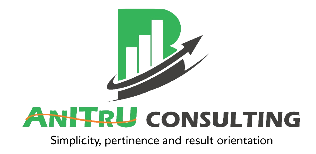 Anitru Consulting